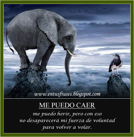 Frases de fuerza y voluntad